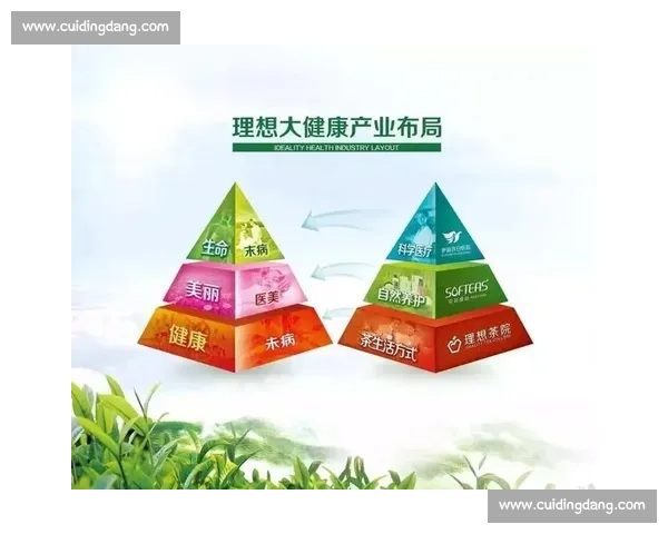 以健康管理为核心促进全生命周期的身体与心理全面发展策略